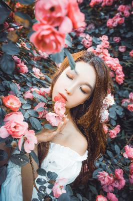 菠萝视频在线观看电视剧最新版