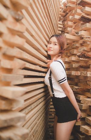 疯狂动物城2 电影